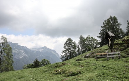 Alpentiere Rundwanderweg - Achensee