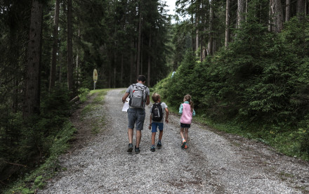 Bergeralm im Wipptal