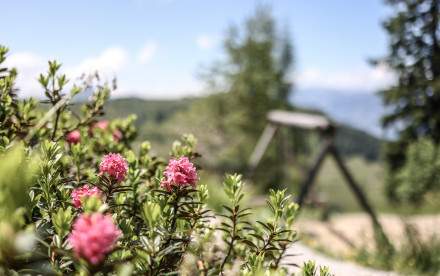 Lauserland im Alpbachtal