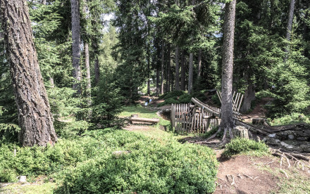 Mutterer Alm