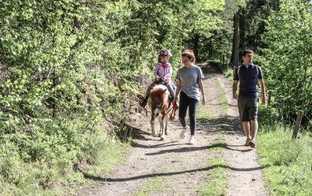 Ponyreiten im Hasental