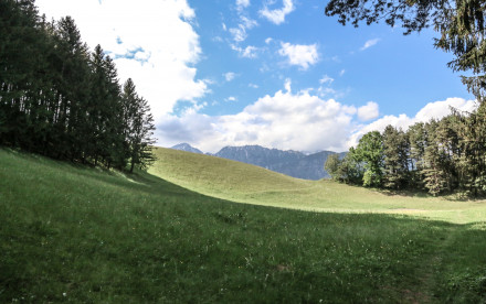 Ponyreiten im Hasental