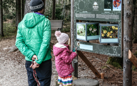 Putzatal im Zillertal