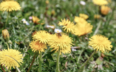 Putzatal im Zillertal