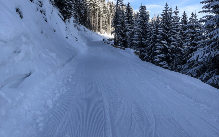 Rodelbahn am Achensee Zwölferkopf