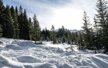 Rodelbahn in Navis