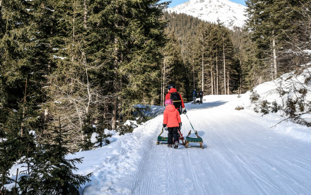 Rodelbahn in Navis