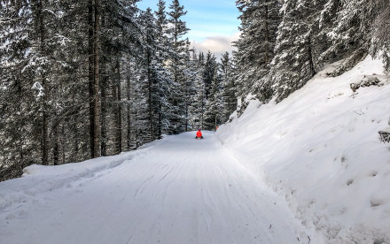Rodelbahn Serles