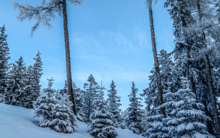 Rodelbahn Serles