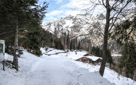 Rodeln Allrissalm in Gossensass - Südtirol