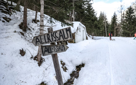 Rodeln Allrissalm in Gossensass - Südtirol