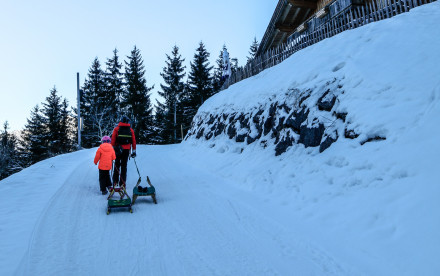 Rodlhütte Pertisau