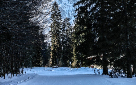Rodlhütte Pertisau
