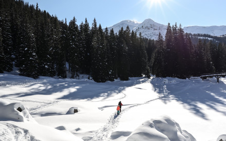 Schneeschuhwanderung im Wipptal