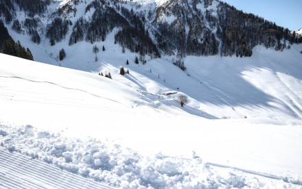 Skicircus Fieberbrunn