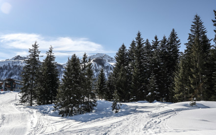 Skicircus Fieberbrunn