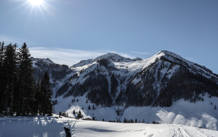 Skicircus Fieberbrunn