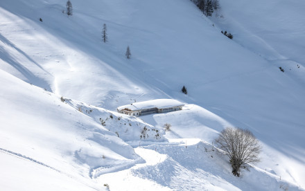 Skicircus Fieberbrunn