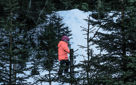 Wattental im Winter