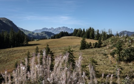 Wildseelodersee - Pillerseetal