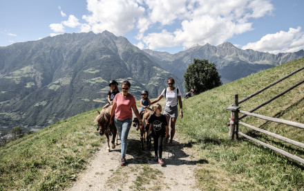 Algund - Südtirol