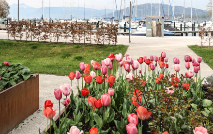 Attersee-Attergau - Salzkammergut