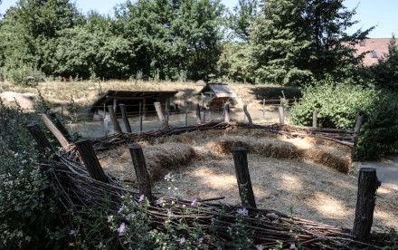 Carnuntum-Marchfeld - Donauregion