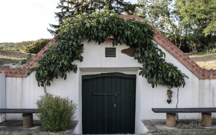 Carnuntum-Marchfeld - Donauregion
