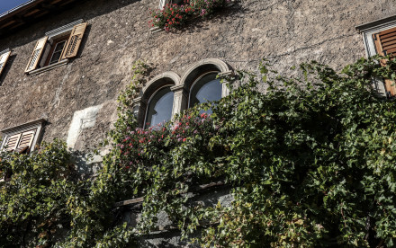 Eppan a. d. Weinstr. - Südtirol