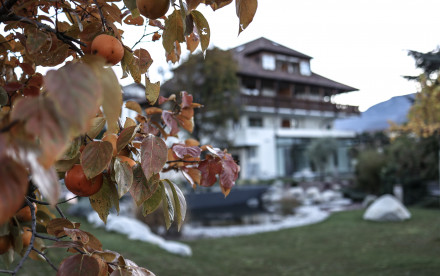 Eppan a. d. Weinstr. - Südtirol