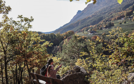 Eppan a. d. Weinstr. - Südtirol