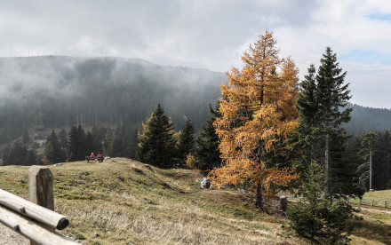 Lana - Südtirol