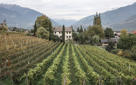 Lana - Südtirol