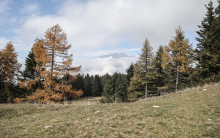 Lana - Südtirol