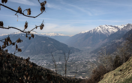 Schenna - Südtirol