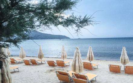 Sommer auf Elba Sommer auf Elba