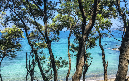 Sommer auf Elba