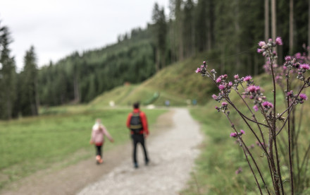 Sommer in Wagrain-Kleinarl