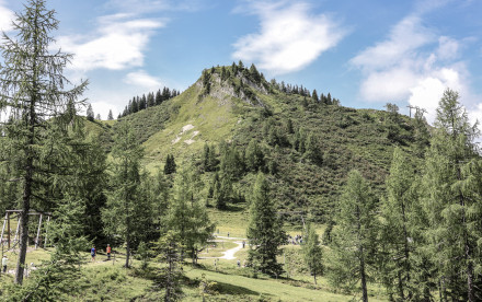 Sommer in Wagrain-Kleinarl