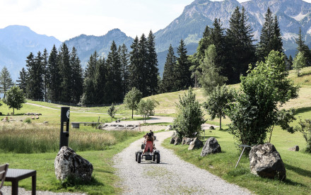 Berghotel Schlossanger Alp - Pfronten, Allgäu