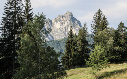 Berghotel Schlossanger Alp - Pfronten, Allgäu