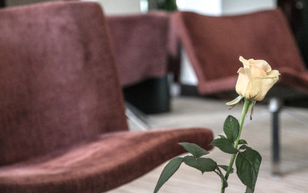 Palacehotel Kempinski***** Portoroz