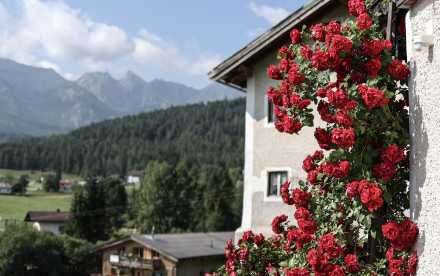 Mesnerhof-C Steinberg am Rofan