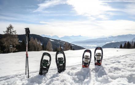 Naturel Hotels - Kärnten
