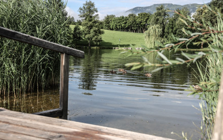 Ritzenhof ****S – Hotel und Spa am See