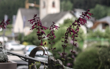 Winklerhotel Lanerhof****S Südtirol